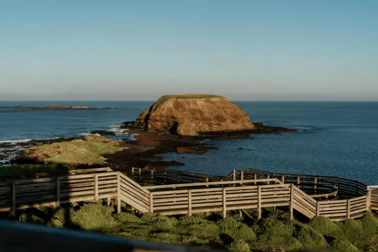 The Nobbies, Phillip Island