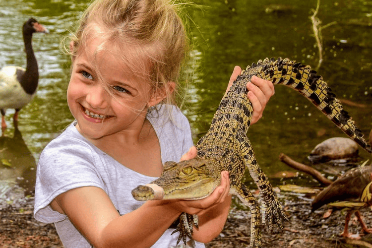 Billabong Sanctuary, Townsville