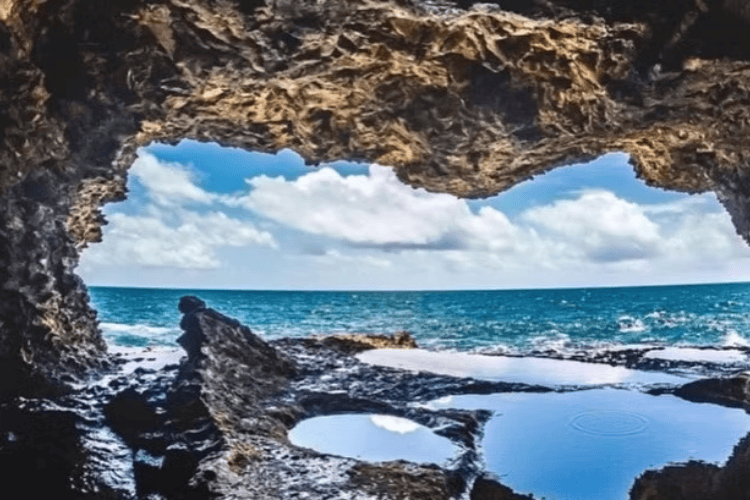 Animal Flower Cave, Barbados