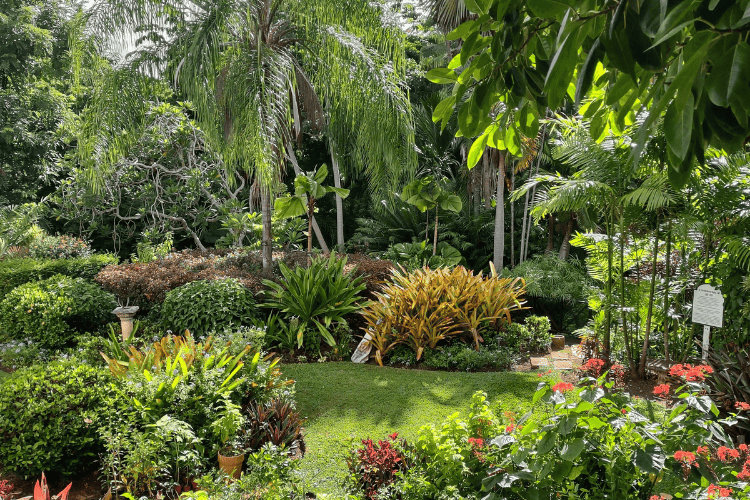Andromeda Botanic Gardens, Barbados