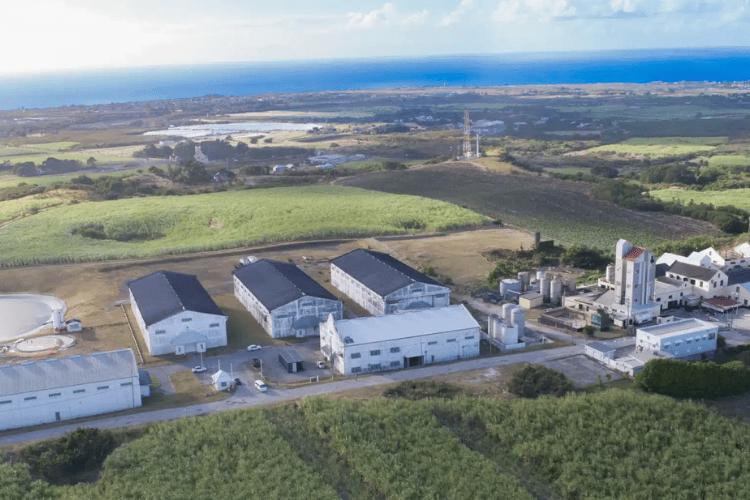 mount gay rum distillery, Barbados
