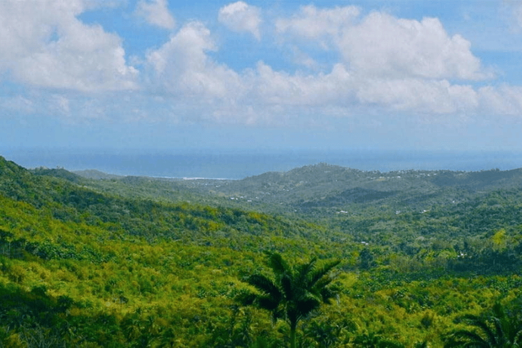 Highland Barbados