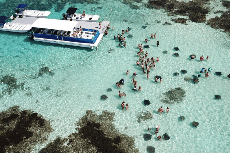 Stingray City, Antigua