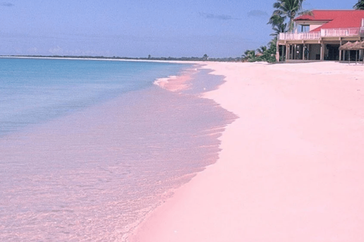 Barbuda's Pink Sand Beach