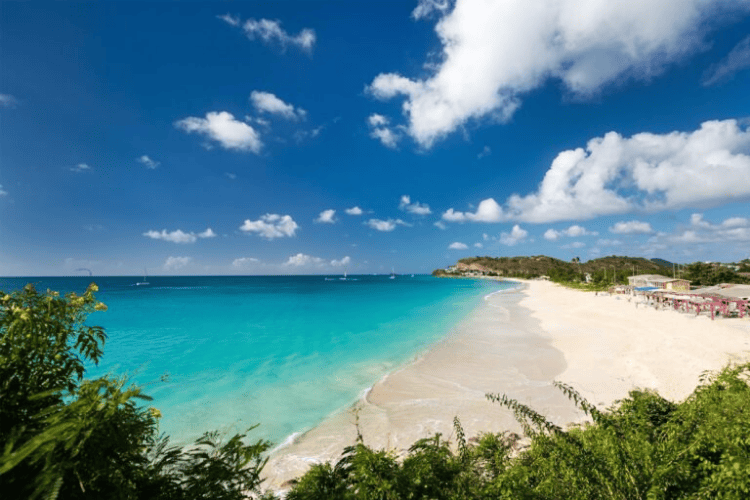 Dark wood beach Antigua