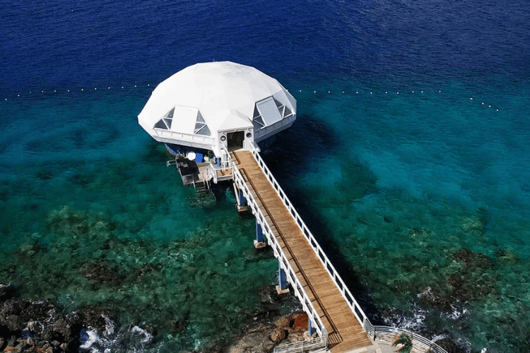 Coral World Ocean Park, St. Thomas US Virgin Islands