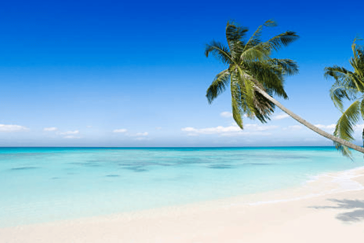 Beaches & Panoramic Views