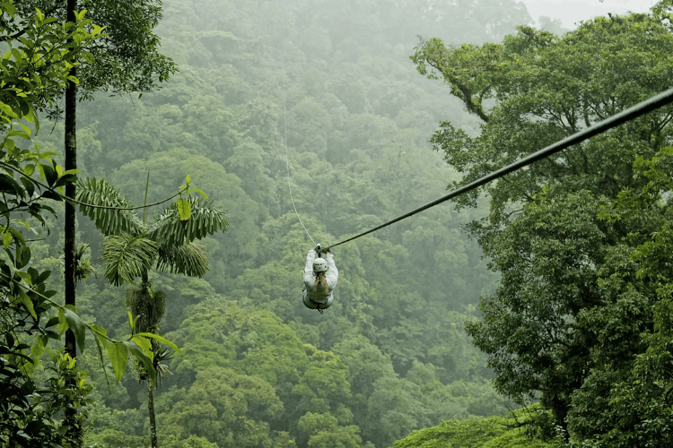 Toro Verde Adventure Park, Puerto Rico