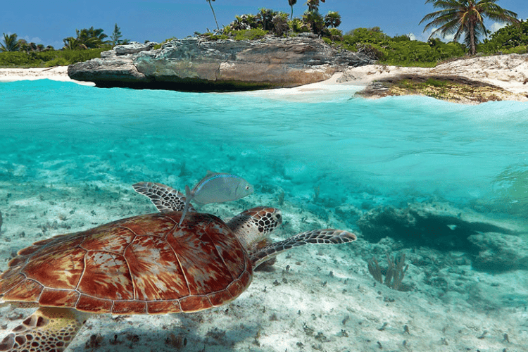 Akumal, Cancun