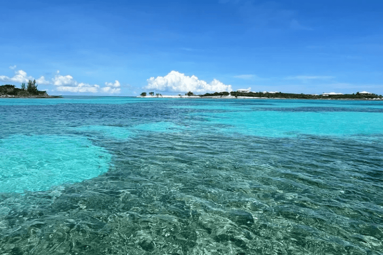 Pelican Cays Land and Sea Park, Marsh Harbour