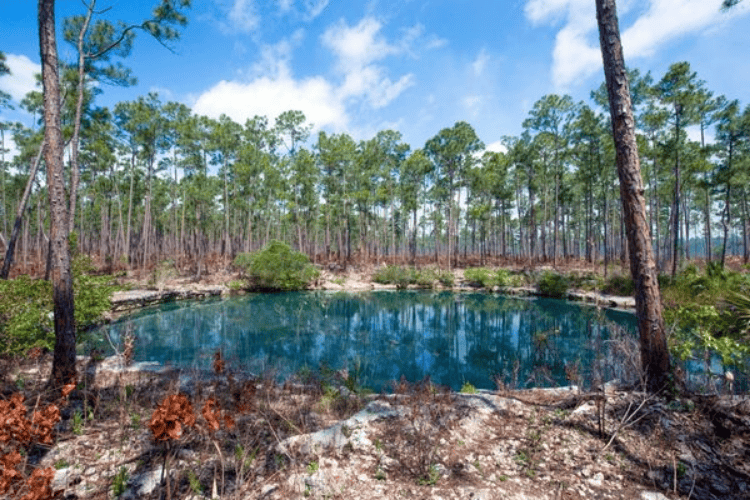 Abaco National Park, Marsh Harbour