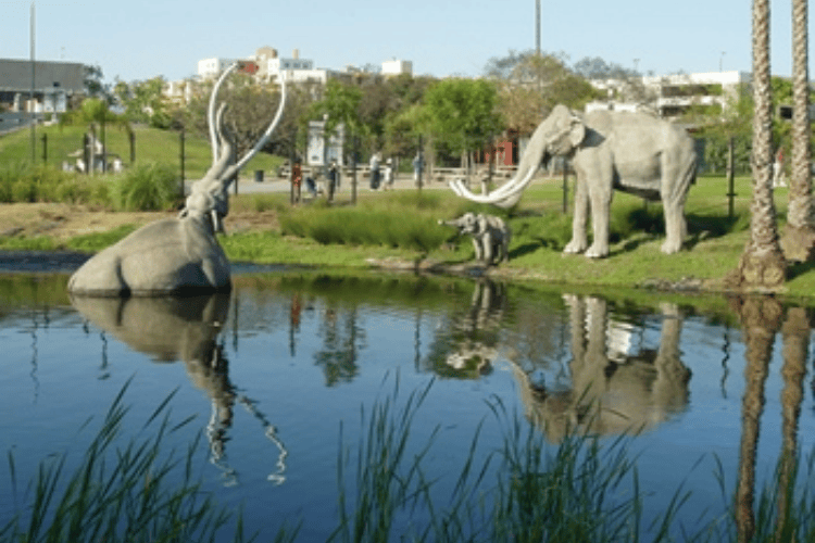 La Brea Tar Pits, LA