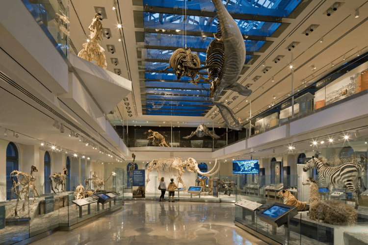 The Natural History Museum of Los Angeles County