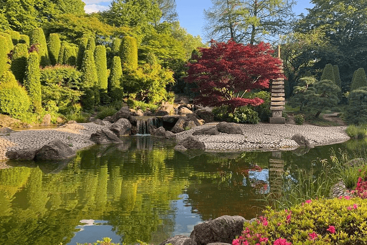 Rheinaue Park, Bonn, Germany
