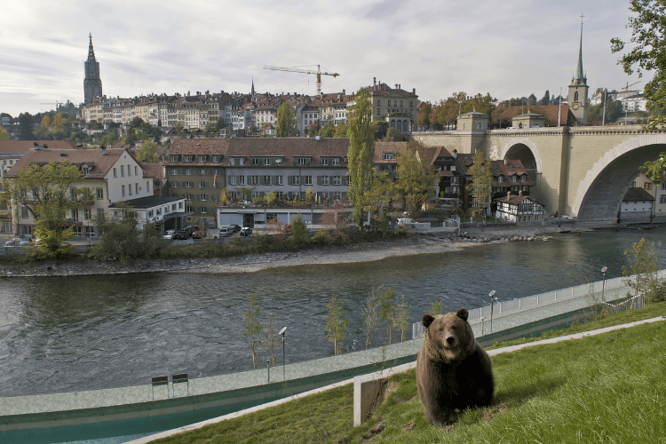 Bear Park, Bern, Switzerland