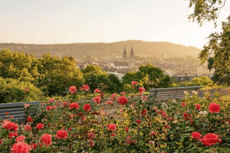 The Rosengarten, Bern, Switzerland
