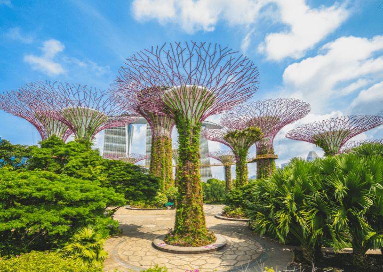 Gardens By the Bay, Singapore