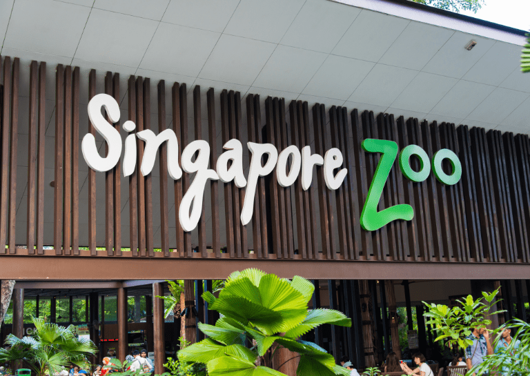 Singapore Zoo and Night Safari