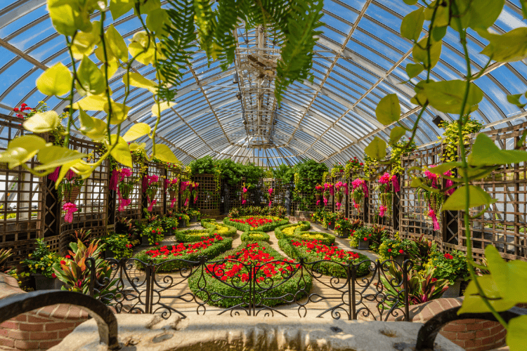 Phipps Conservatory and Botanical Gardens, Pittsburgh
