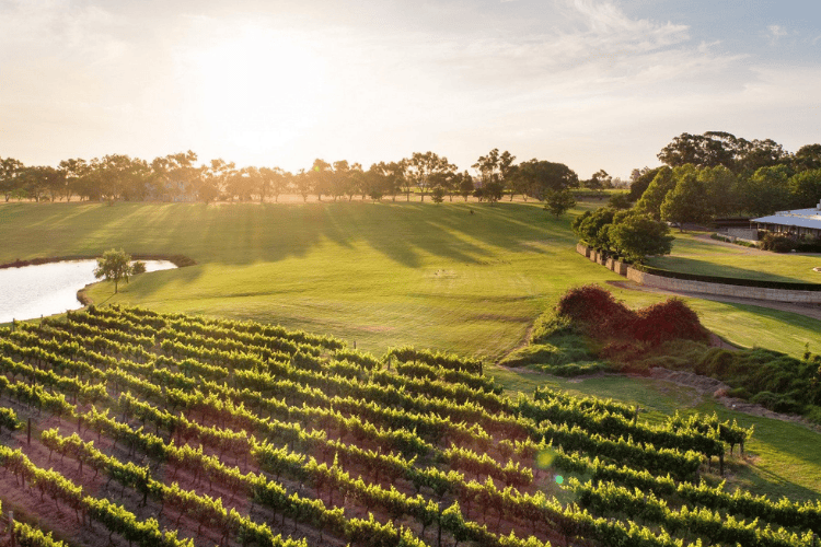 Swan Valley, Perth, Australia