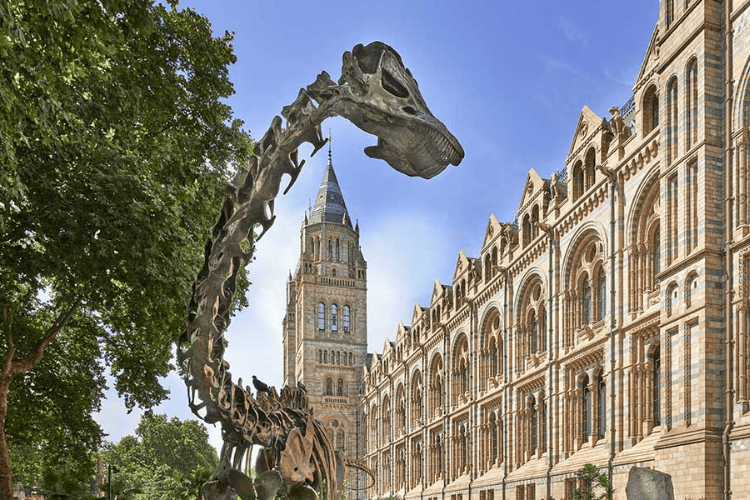 Natural History Museum, London, UK