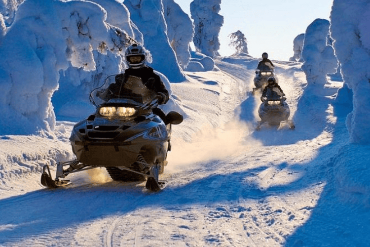 Snowmobile Safari, Lapland