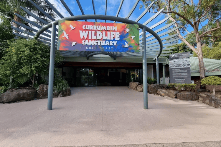 Currumbin Wildlife Sanctuary, Gold Coast, Australia