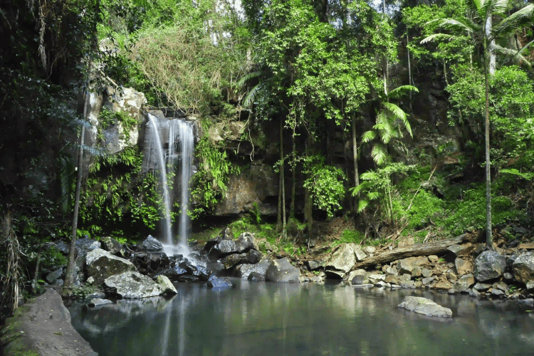 Tamborine Mountain, Gold Coast, Australia