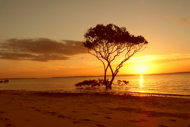 Sunsets of Fraser Island