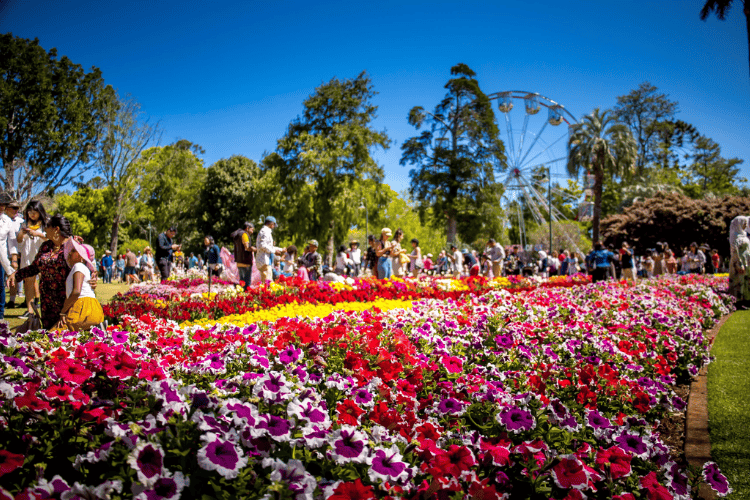 Toowoomba Carnival of Flowers