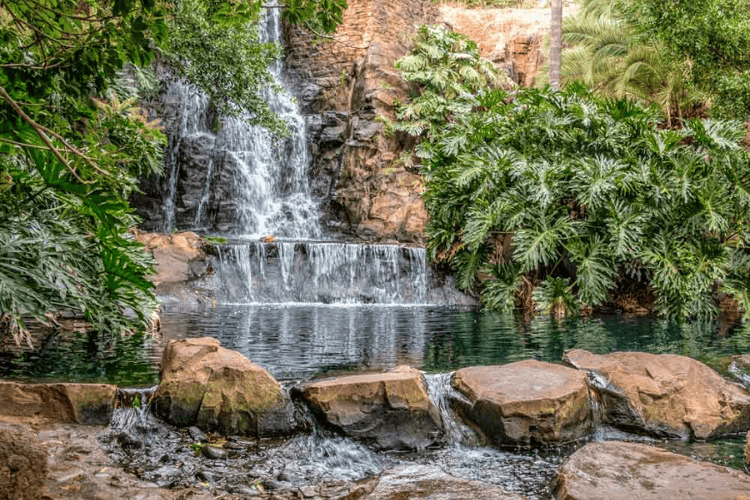 Picnic Point Lookout & Parkland, Toowoomba