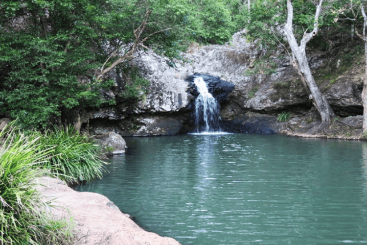 Kondalilla Falls, QLD