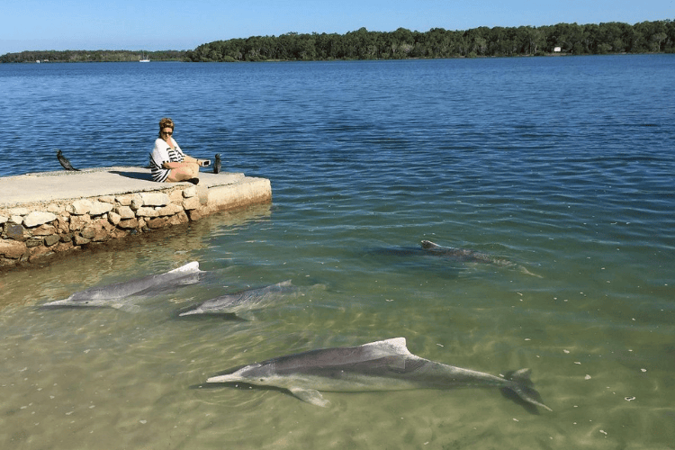 Barnacles Dolphin Centre – Tin Can Bay, QLD