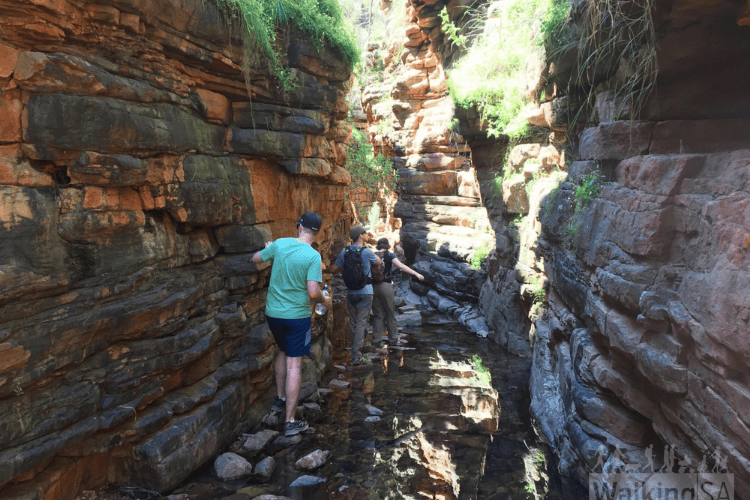 South Gorge Walk, Stradbroke