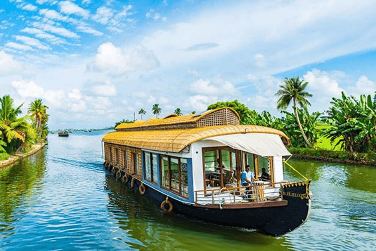 Backwaters, Kochi, India
