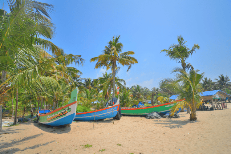 Marari Beach, Alleppy, India