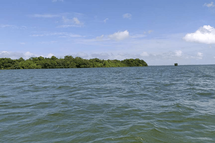 Pathiramanal Island, Alleppy, India