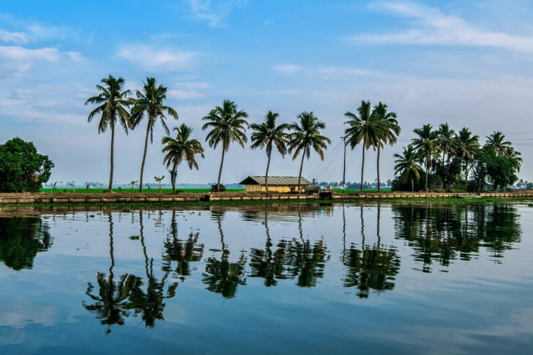 backwaters alleppey, India
