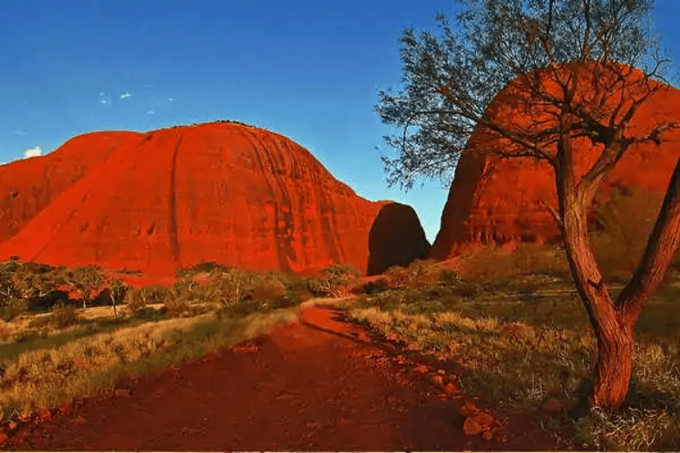 Explore Kata Tjuta, Uluru