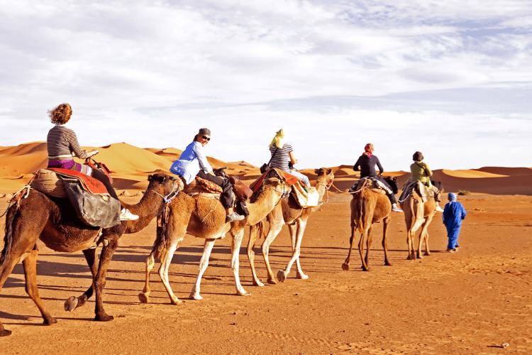 Camel Riding, Uluru