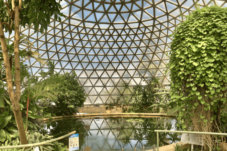 brisbane botanic gardens, Brisbane, QLD