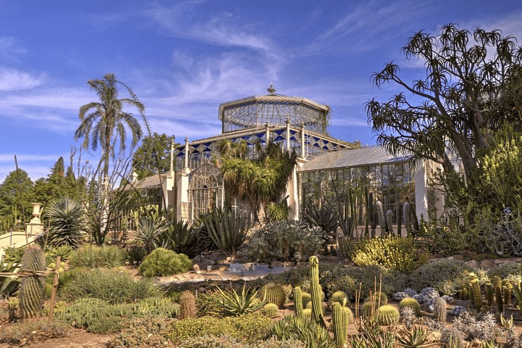 Adelaide Botanic Garden