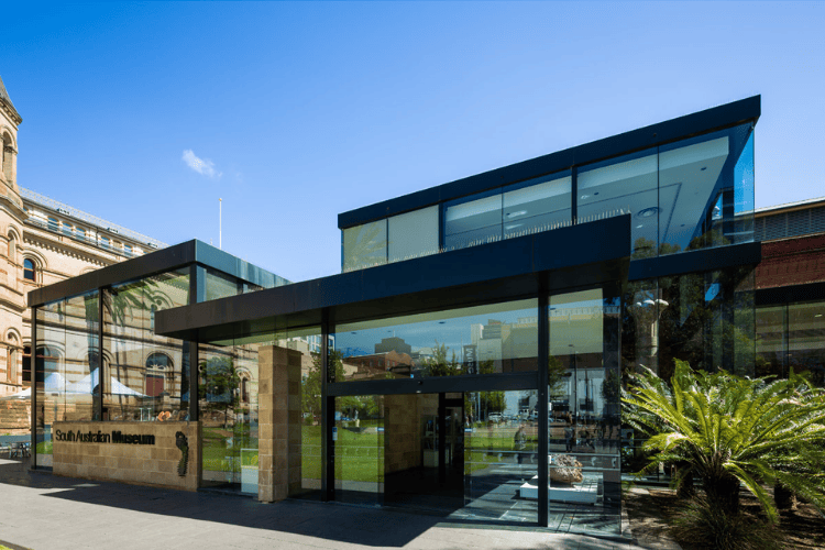 South Australian Museum, Adelaide