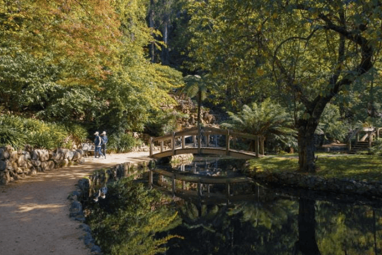 George Tindale Memorial Gardens, Dandenong, Victoria, Melbourne
