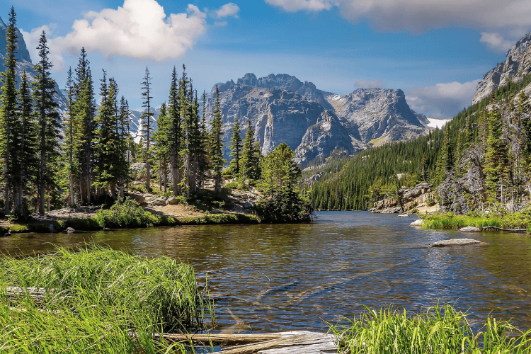 National Park, Dandenong, Victoria, Melbourne