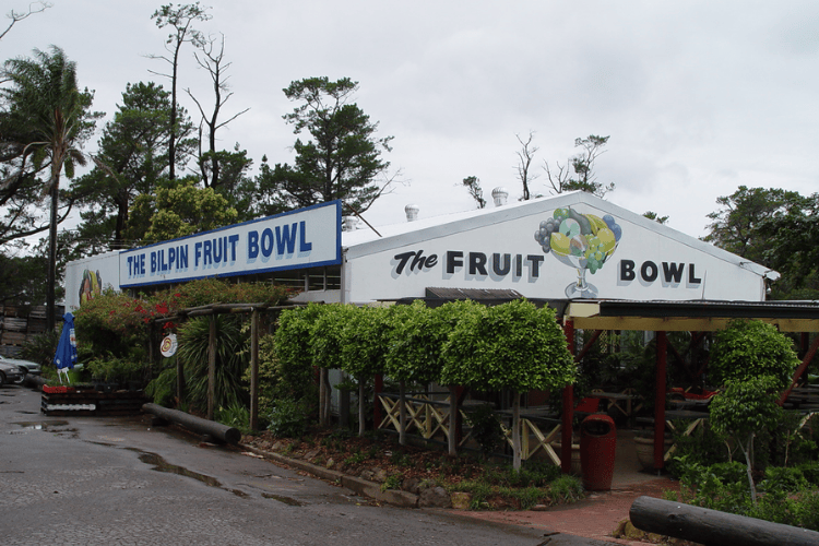 Bilpin, Blue Mountains, NSW