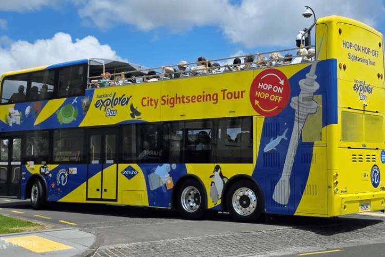 Ride the Explorer Bus, Blue Mountains, NSW