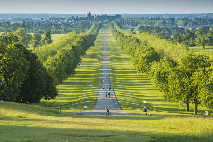 Windsor Great Park, UK