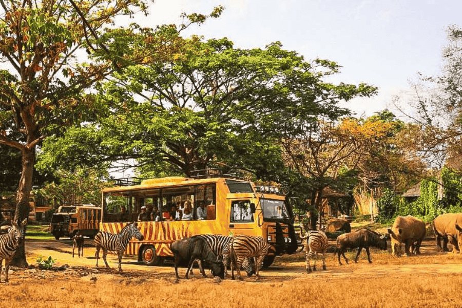 A yellow zebra-striped safari bus filled with tourists parked in a sunlit savanna, surrounded by zebras, wildebeests, and rhinoceroses grazing under large green trees.