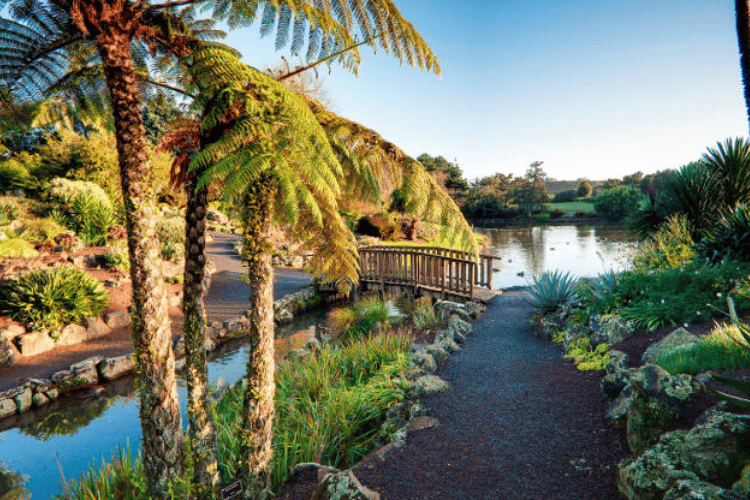 Auckland Botanic Gardens